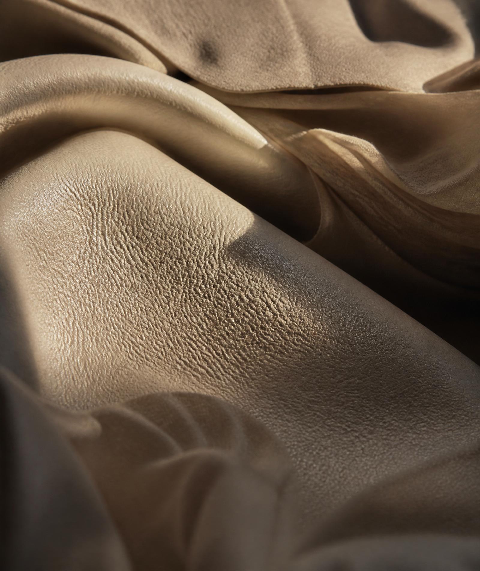 Folded leather in soft light